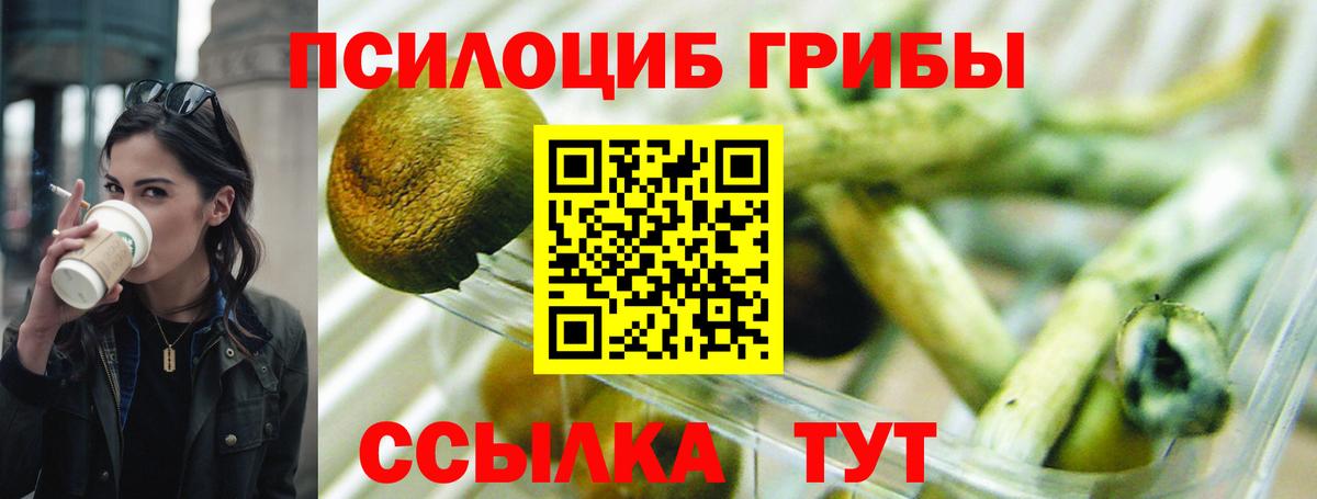Галлюциногенные грибы MAGIC MUSHROOMS Бахчисарай