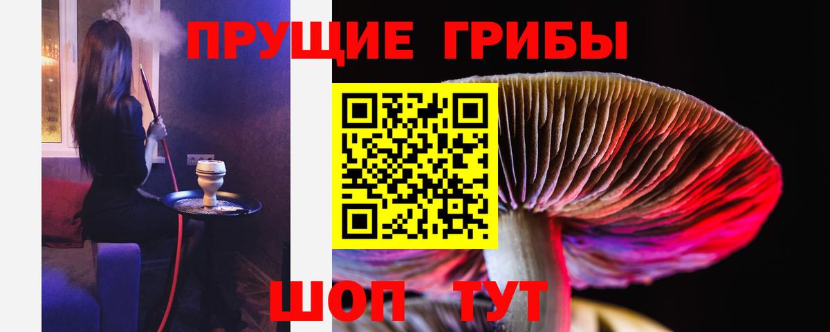 Бахчисарай  Псилоцибиновые грибы Cubensis  Галлюциногенные грибы мицелий  Вход с VPN 